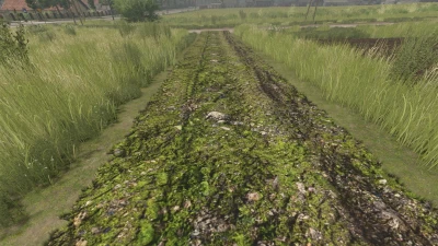 Mud and cobblestone Roads V1.0.0.2
