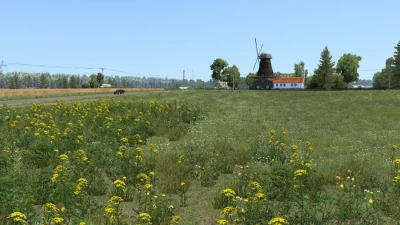 New Summer v6.7
