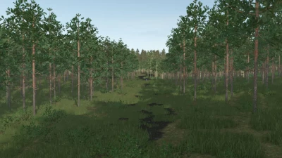 Pinewood Forest Next Generation v1.0.0.0