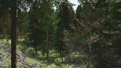 Pinewood Forest Next Generation v1.0.0.0