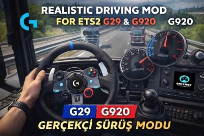 Realistic Driving Mod G29 & G920 v1.59