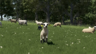 Sheep Breeds for RLRM v0.1.0.0