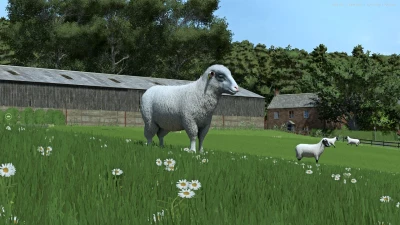 Sheep Breeds for RLRM v0.1.0.0