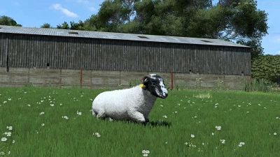 Sheep Breeds for RLRM v0.1.0.0