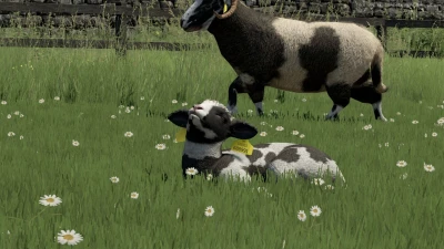 Sheep Breeds for RLRM v0.1.0.0