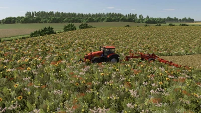 Small Lithuanian Village Edit v1.0.0.0
