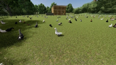 Small Lithuanian Village Edit v1.0.0.0