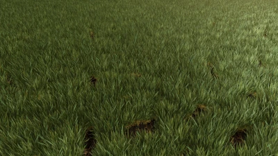 Weed Cleaner - Dead Weeds Disappear v1.0.0.0