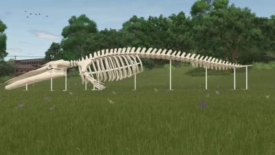Whale Skeleton Sculpture v1.0.0.0