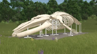 Whale Skeleton Sculpture v1.0.0.0