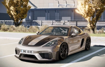 2025 Porsche Cayman 0.38.x