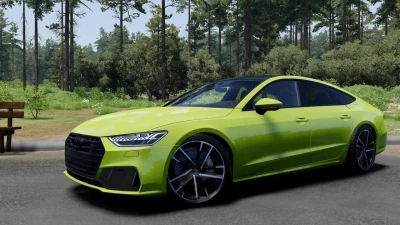 Audi A,S,RS7 (4K8/C8) V1.0