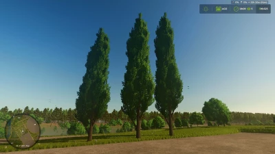 Black poplar (tree) v1.0.0.0