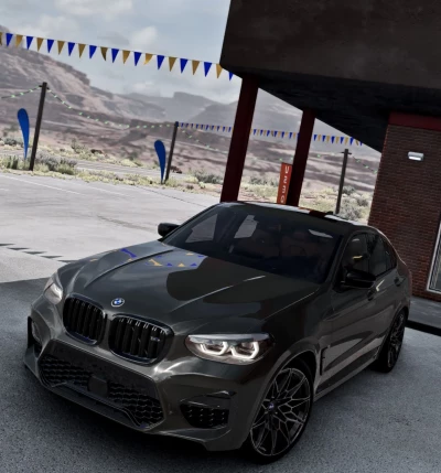 BMW X4 (G02) (2018-2025) v1.1 0.38.x