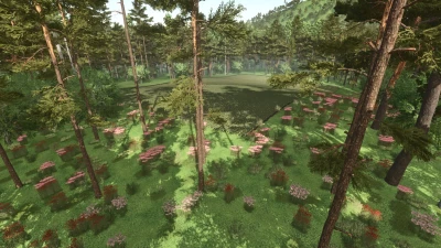 Forest Challenge v1.0.0.1
