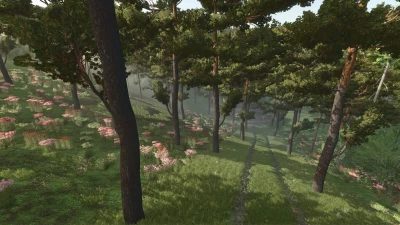 Forest Challenge v1.0.0.1