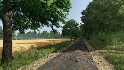 FS Realistic Shader v1.0.0.0