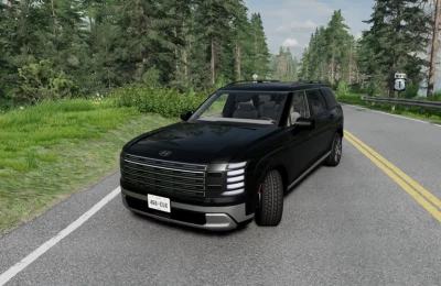 Hyundai Palisade v1