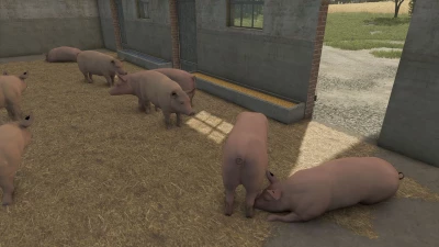 Little Pigsty v1.0.0.0