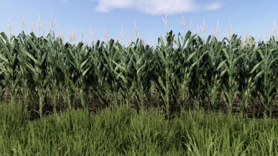 Maize Texture v1.0.0.0