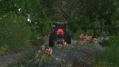 Massey Ferguson Torklu 5713 v1.0.0.0