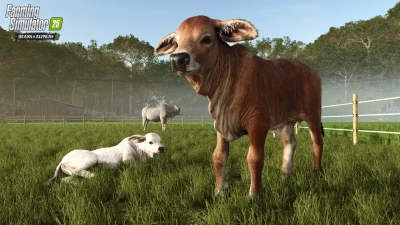 New expansion: Beans & Alpacas are coming!