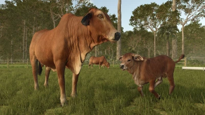 New expansion: Beans & Alpacas are coming!