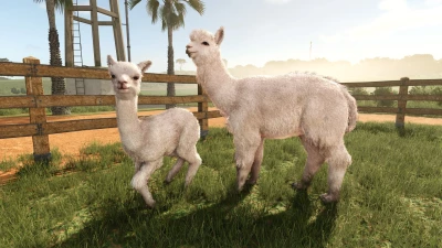 New expansion: Beans & Alpacas are coming!