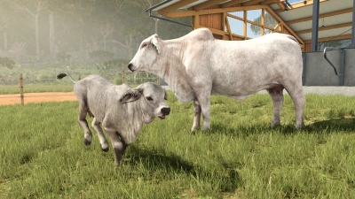 New expansion: Beans & Alpacas are coming!
