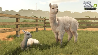 New expansion: Beans & Alpacas are coming!