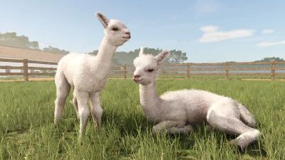 New expansion: Beans & Alpacas are coming!
