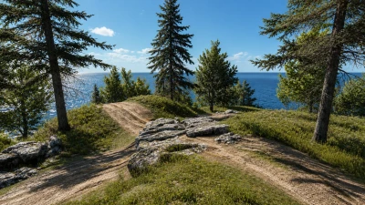 Rally Bear Island v1.1