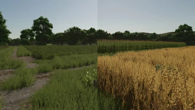 Repopulate Fields v1.0.0.0