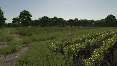 Repopulate Fields v1.0.0.0