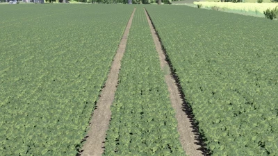 Thicker soy v1.0.0.0