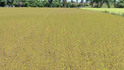 Thicker soy v1.0.0.0