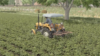 Weeder v1.0.0.0