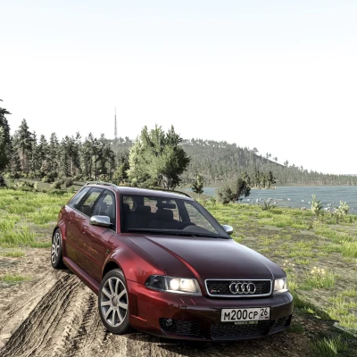 Audi RS4 B5 0.39.x