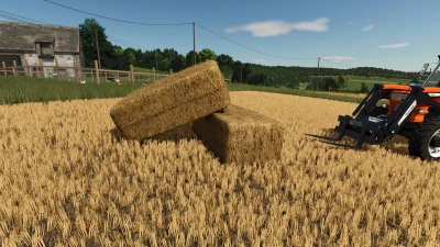 Bale Physics Stabilizer v1.0.0.0
