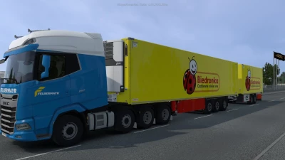 BIEDRONKA SCHMITZ CARGOBULL S.KO COOL 07 08 2026 1.40 1.61
