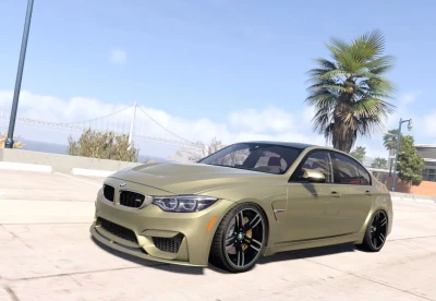 BMW F80 M3 0.39.x