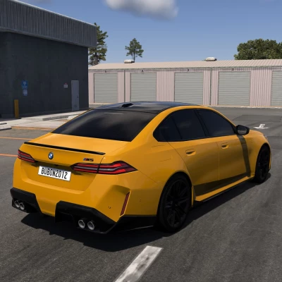 BMW M5 G90/G99 V1.3 0.39.x