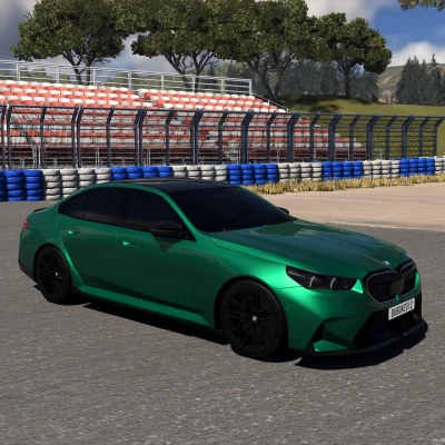 BMW M5 G90/G99 V1.3 0.39.x