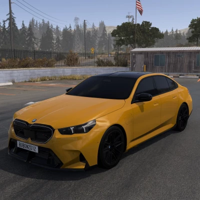 BMW M5 G90/G99 V1.3 0.39.x