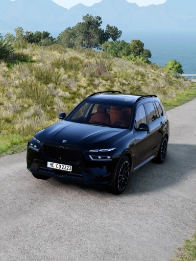 BMW X7 V1.0