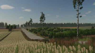 Borowiny v1.0.0.0