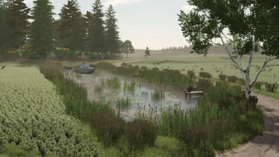 Borowiny v1.0.0.0