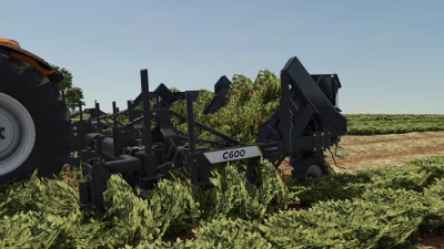 Colombo C600 v1.0.0.0