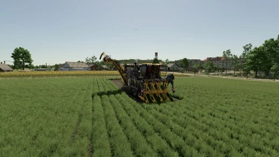 Dewulf Vegetable Harvester v1.0.0.0