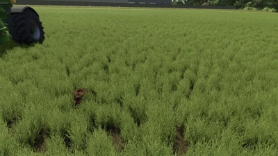 Dynamic molehills v1.0.0.0